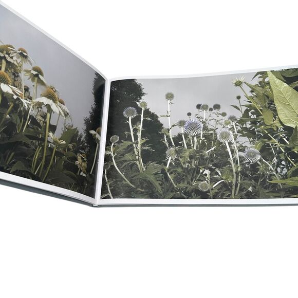 Flowers Book Tony Mendoza First Edition 1000 Copies Hardcover Nature Photography - Picture 6 of 10